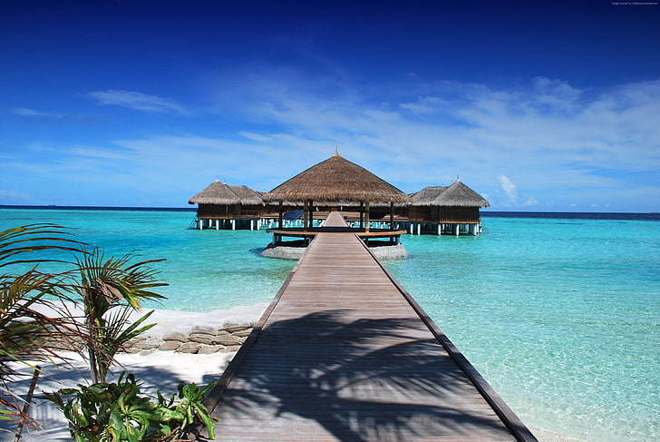Luxury Staycation
