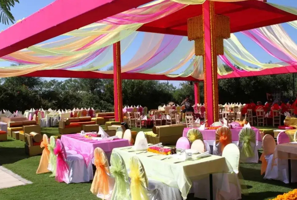 The Zarah — The King of Indoor Winter Backups